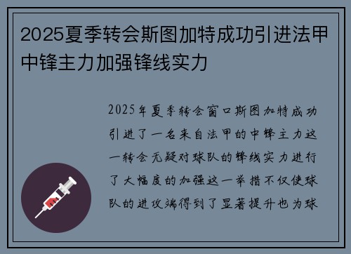2025夏季转会斯图加特成功引进法甲中锋主力加强锋线实力
